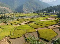 Diario nepalese 2025 - Un venerdì 17 per niente male