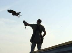 fai villa bozzolo falconiere