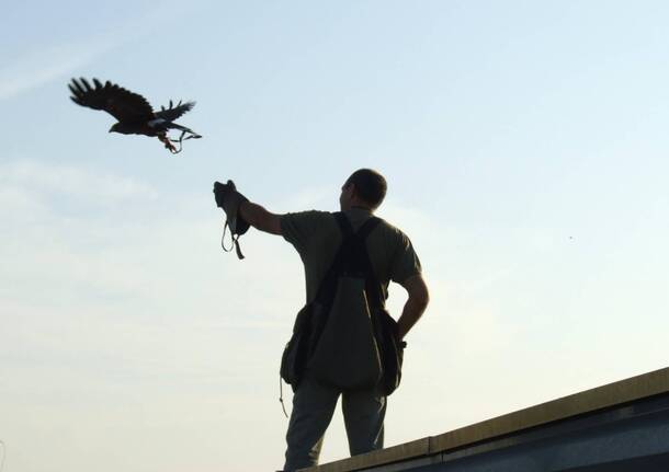 fai villa bozzolo falconiere