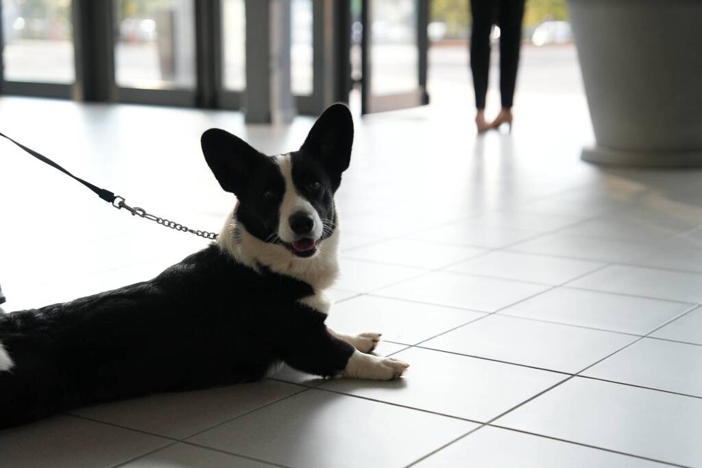 Fausto Walter Turco e padre Natale Brescianini incontrano i diplomati di ITS INCOM