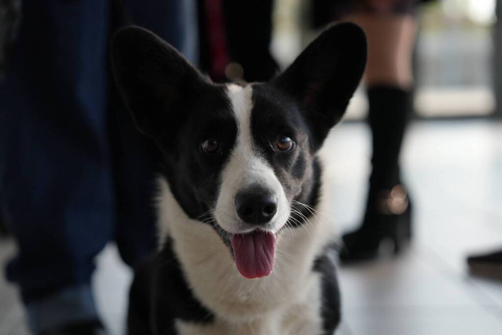 Fausto Walter Turco e padre Natale Brescianini incontrano i diplomati di ITS INCOM