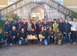 festa contadina albizzate