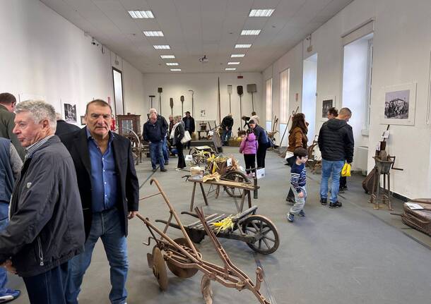 festa contadina albizzate