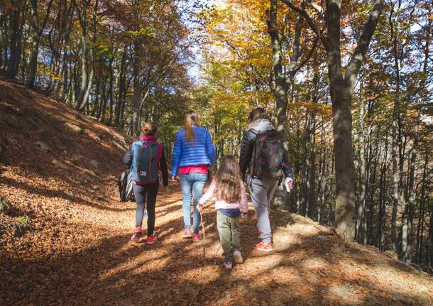 Foliage in Oasi Zegna