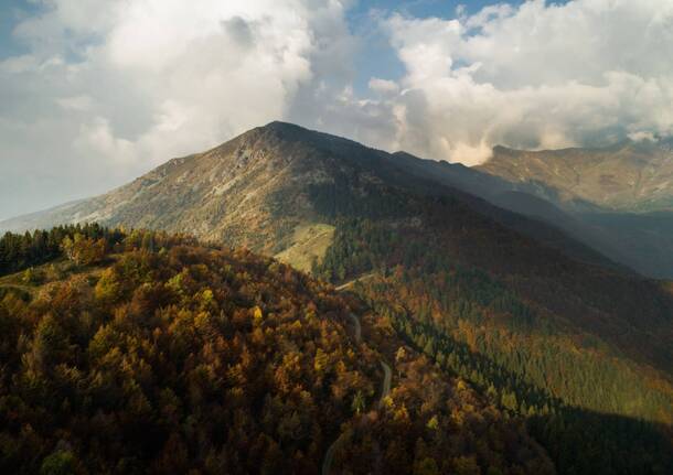 Foliage in Oasi Zegna