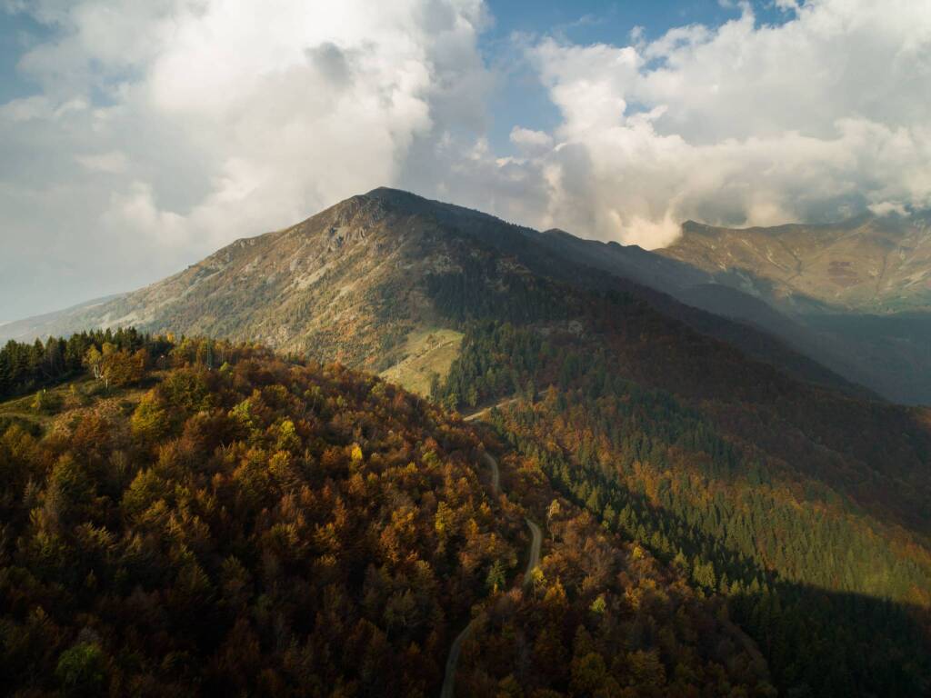 Foliage in Oasi Zegna