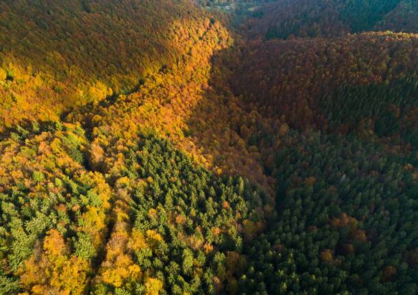 Vivi la magia del foliage in Oasi Zegna: un viaggio d’autunno tra natura, colori e benessere