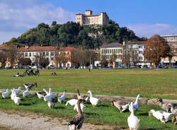 foto del giorno 21 ottobre 2025 lungolago di angera | foto di Giuli Asc