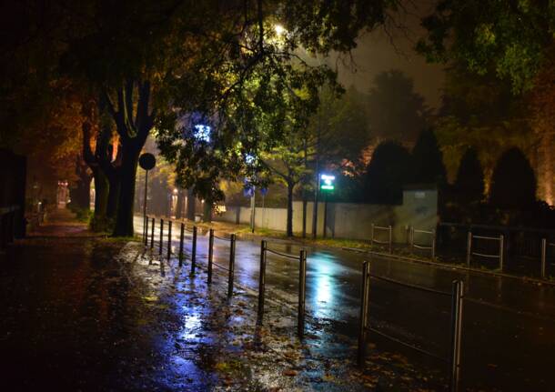 Foto del giorno ottobre 2025