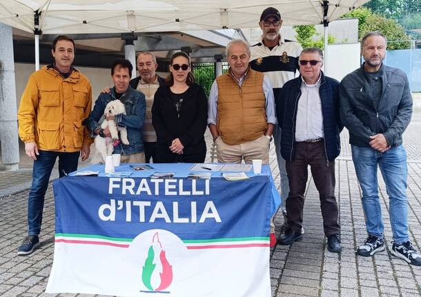 fratelli d'italia albizzate
