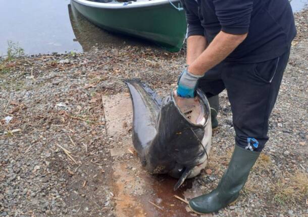 Generico 13 Oct 2025