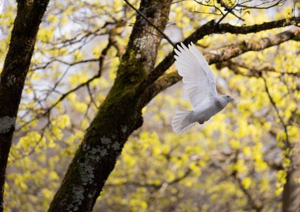 Generico 20 Oct 2025