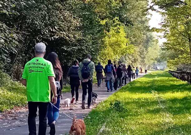 Generico 20 Oct 2025