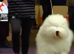 Generico 27 Oct 2025