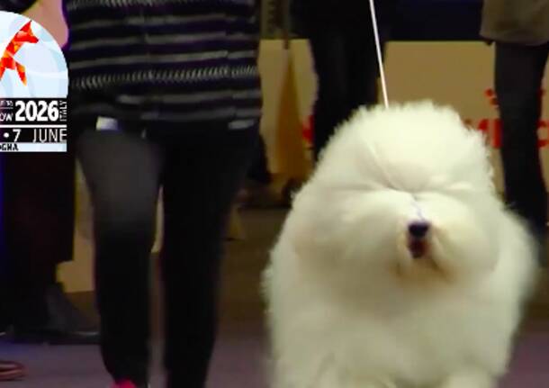 Generico 27 Oct 2025