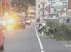 Generico 27 Oct 2025