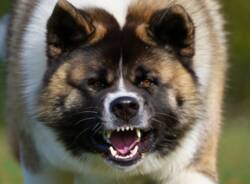 Generico 27 Oct 2025