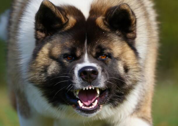 Generico 27 Oct 2025