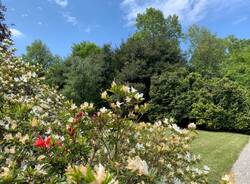 giardino fiori