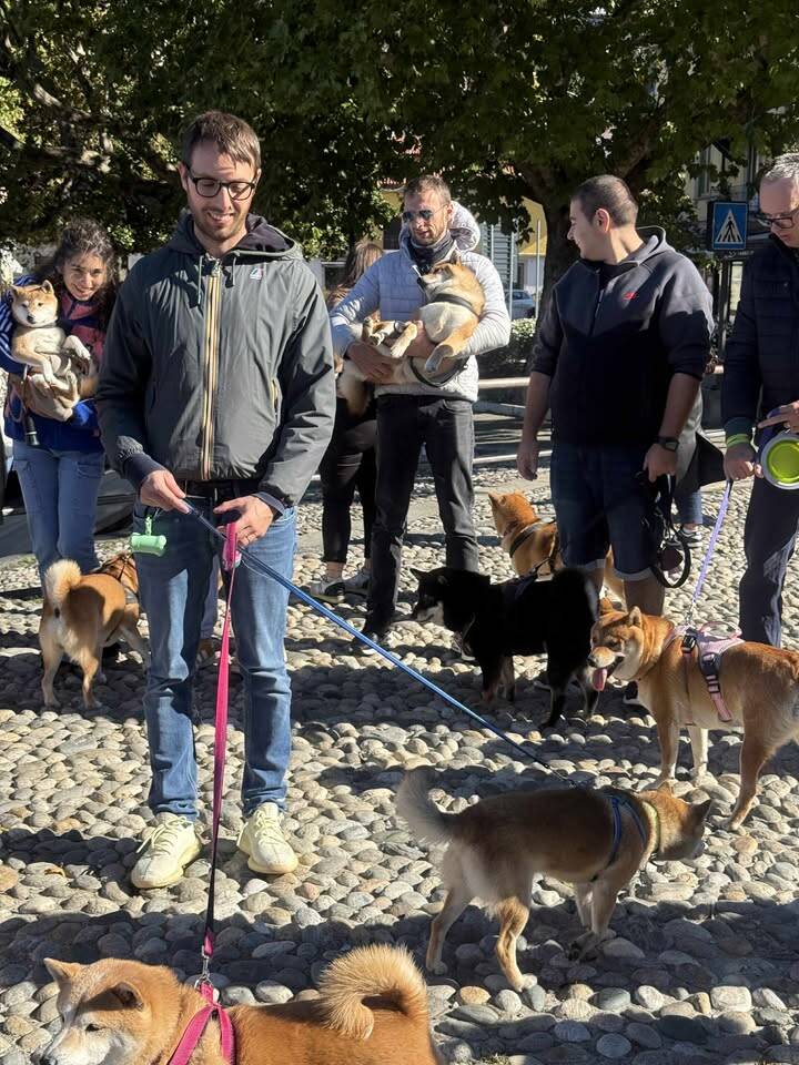 Gli Shiba Inu conquistano il lungolago di Laveno Mombello