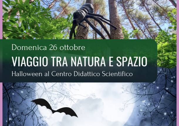 halloween centro didattico tradate
