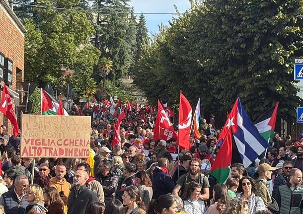 Il corteo per Gaza a Varese nel giorno dello sciopero generale