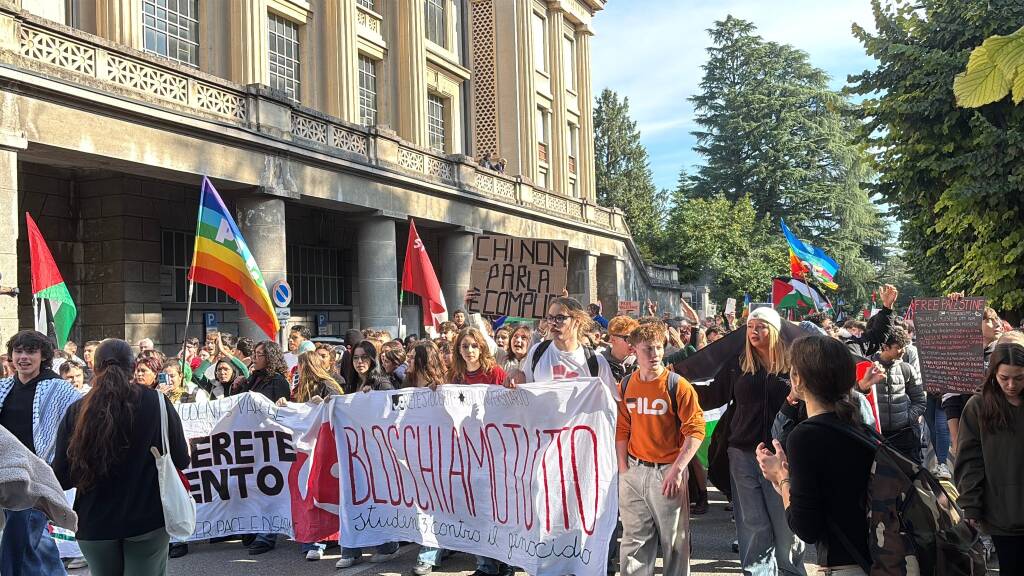 Il corteo per Gaza a Varese nel giorno dello sciopero generale