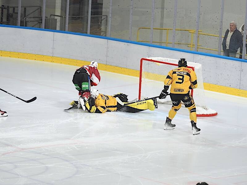 Mastini-Feltre 5-1