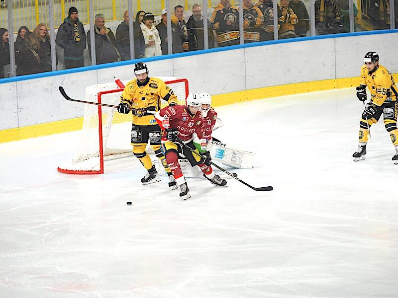 Mastini-Feltre 5-1