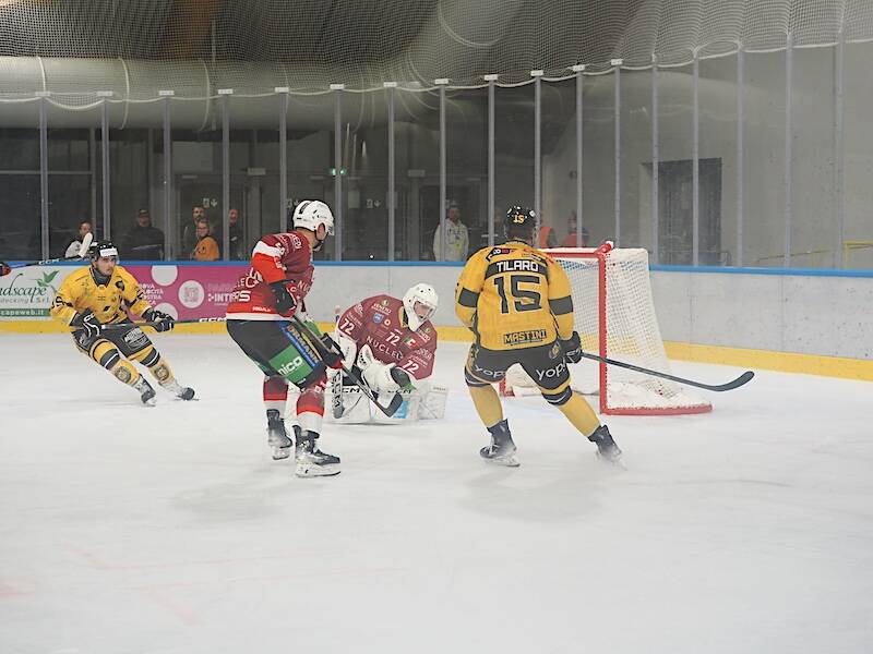 Mastini-Feltre 5-1