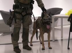 Milano, ostaggi nella Torre Generali: ma è un’esercitazione antiterrorismo