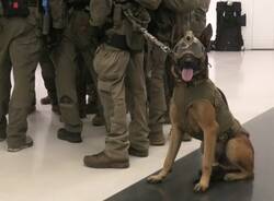 Milano, ostaggi nella Torre Generali: ma è un’esercitazione antiterrorismo