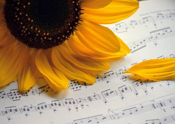 musica
