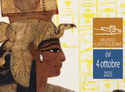 nefertari museo castiglioni varese