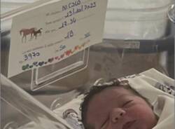Benvenuto Nicolò