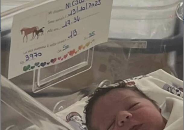 Benvenuto Nicolò