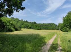 parco della bevera