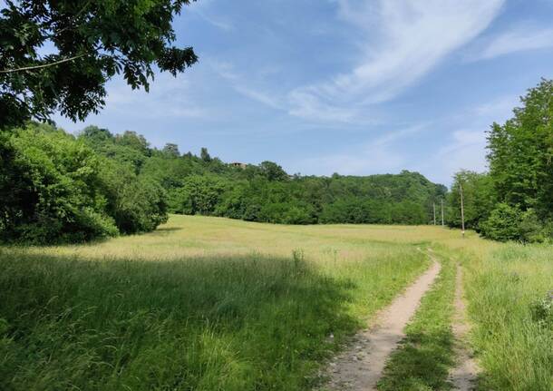 parco della bevera