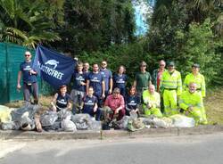 plastic free