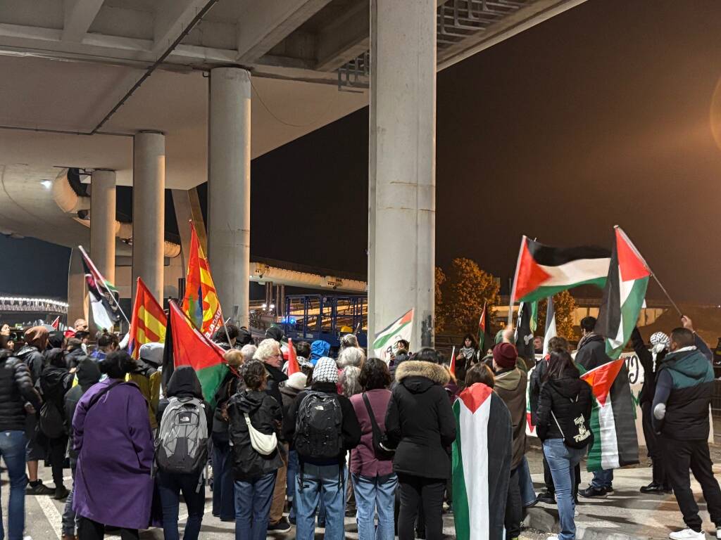 Protesta Palestina Malpensa 