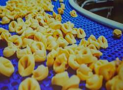 Scoiattolo protagonista a Materia 