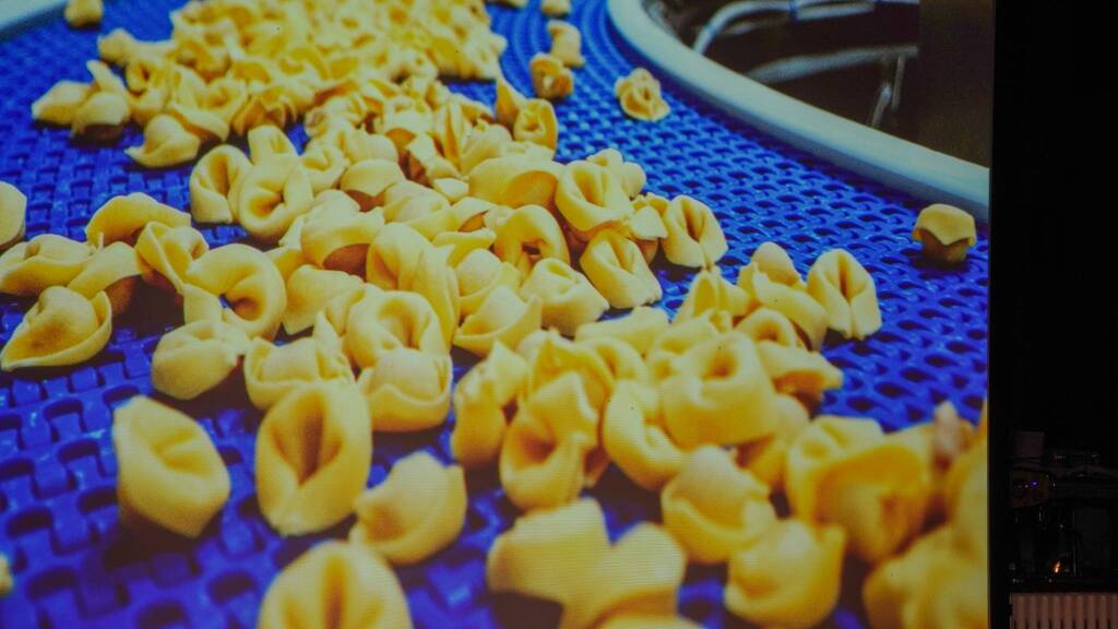 Scoiattolo protagonista a Materia 