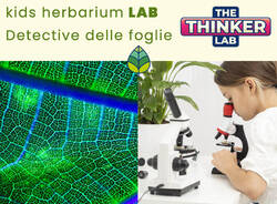 Thinker Lab