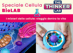 Thinker Lab evento cellula