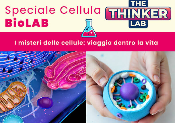 Thinker Lab evento cellula
