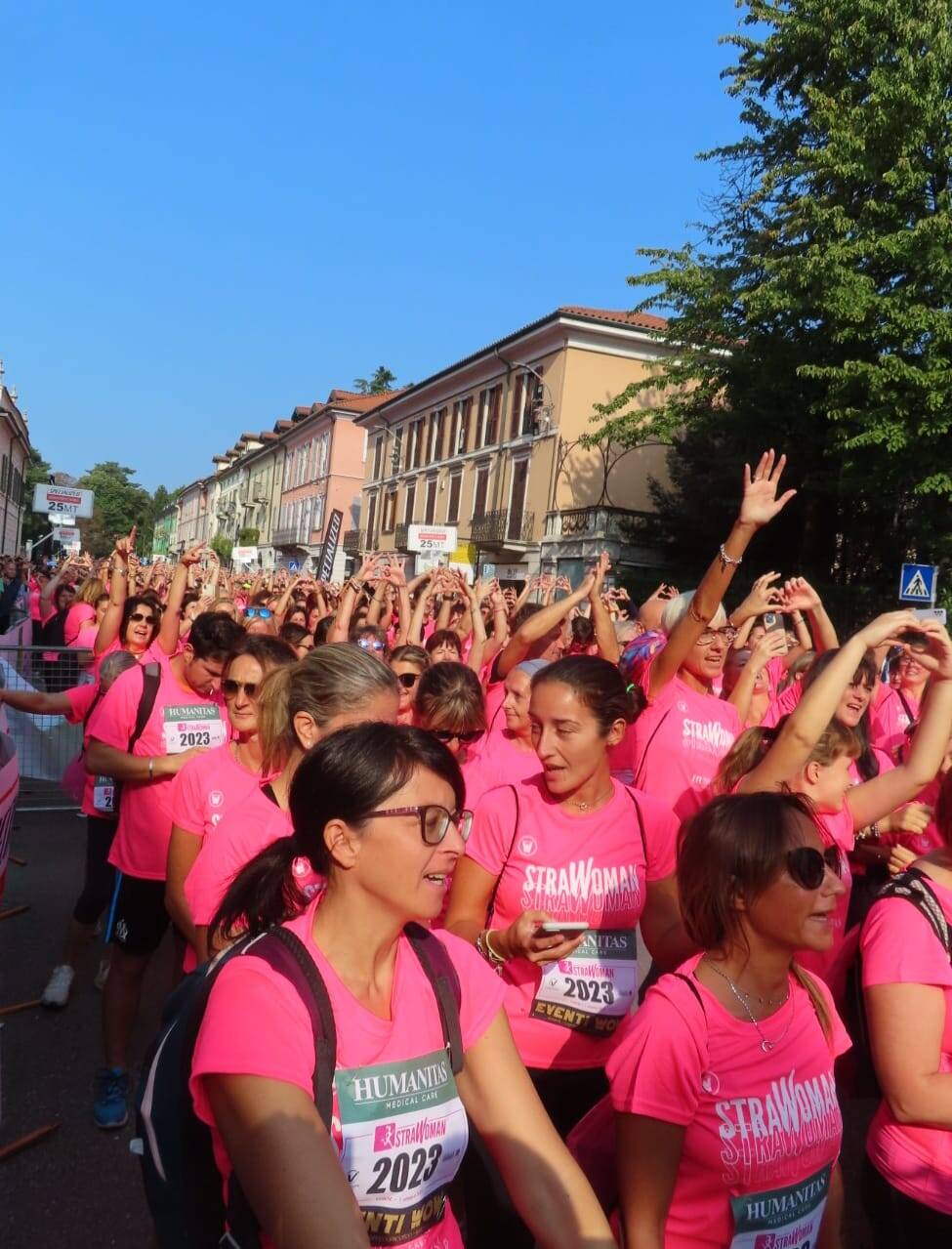 Strawoman a Varese