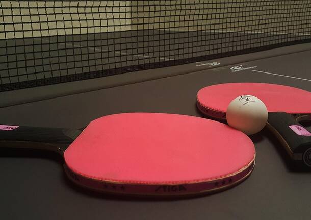 tennis da tavolo