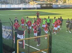 varese ligorna