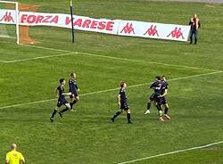 varese novaromentin 
