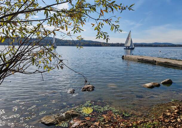 vela lago di varese - lega navale italiana sezione di varese